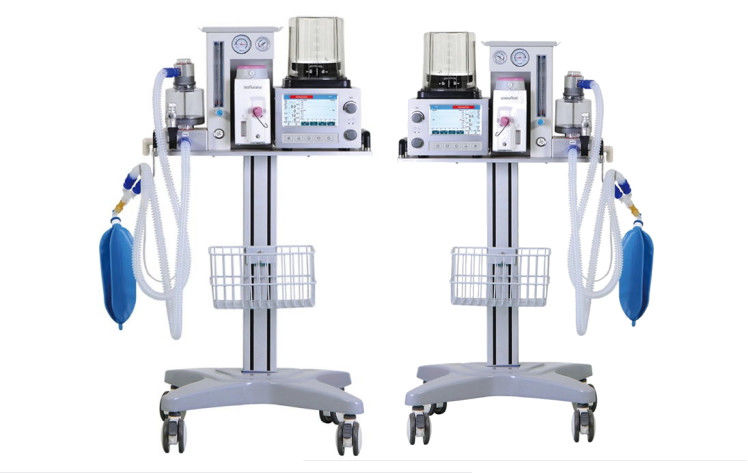 Sistema veterinario CA 100-240V del ventilador de la anestesia de DM6B pantalla LCD color de 7 pulgadas